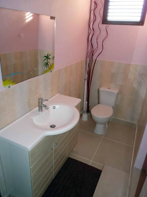 Logement Dans Un Lieu Calme Et Verdoyant A Proximite De Tout Avec Jacuzzi!!! Basse-Terre Ngoại thất bức ảnh